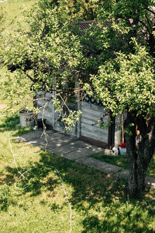Apartamenty Madzia Wisła Dış mekan fotoğraf